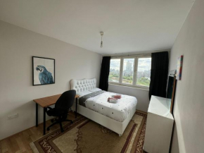 Deluxe room with lovely lake View